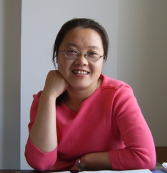 九州线上官网(集团)官方网站创新论坛第一千七百五十讲：Random dynamics of dispersive-dissipative wave equations driven by nonlinear colored noise 