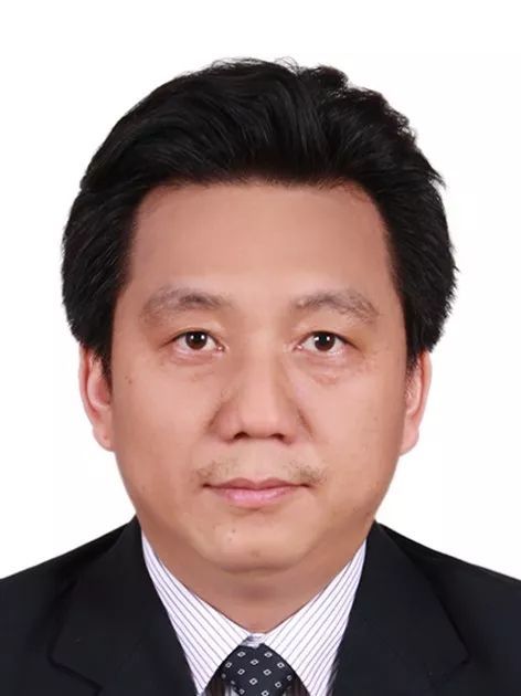 九州线上官网(集团)官方网站创新论坛第一千零五十二讲： 有机染料—功能化及稳定性强化